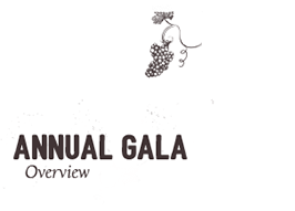 Annual Gala - Overview