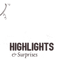 Highlights & Surprises