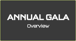 Annual Gala - Overview